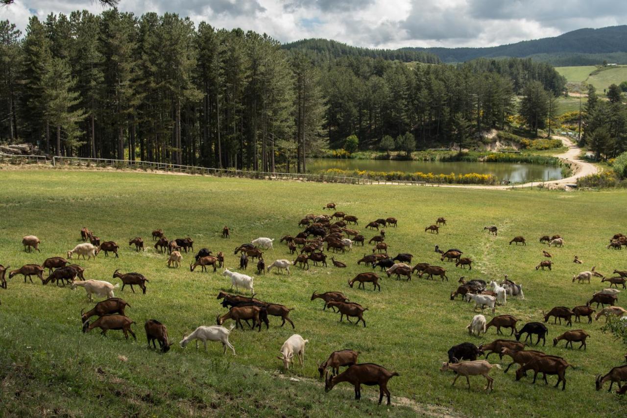 Agriturismo Biosila Acri ภายนอก รูปภาพ