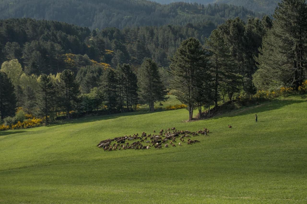 Agriturismo Biosila Acri ภายนอก รูปภาพ