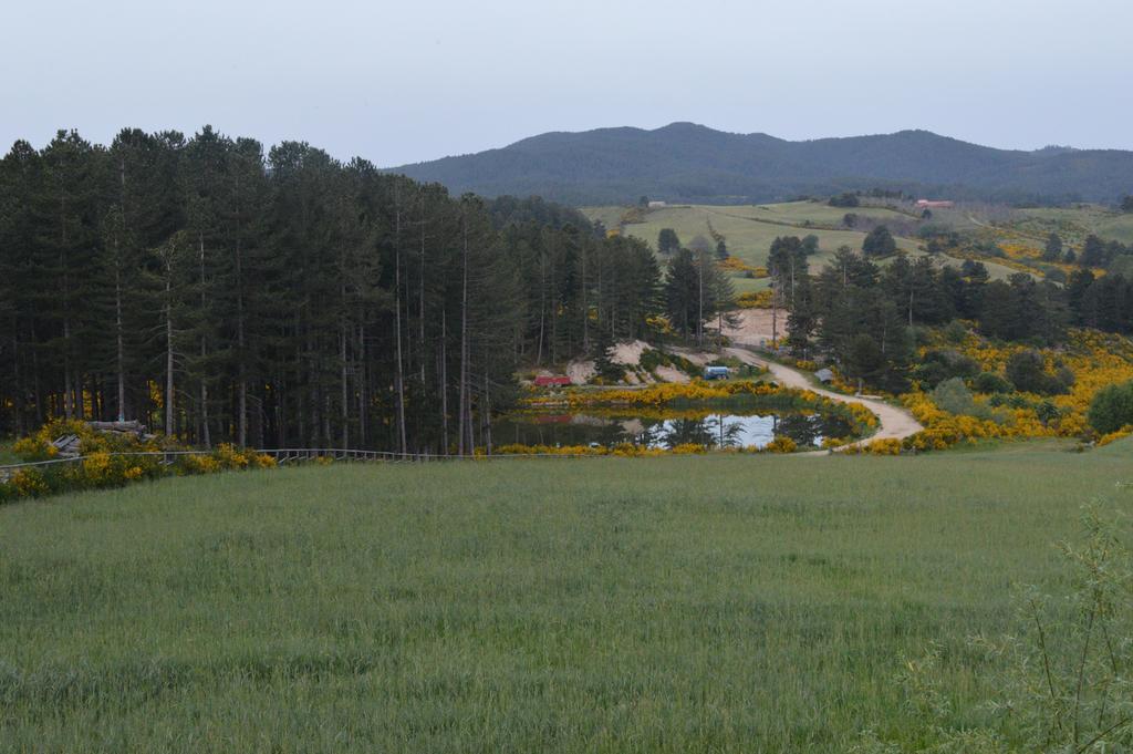 Agriturismo Biosila Acri ภายนอก รูปภาพ