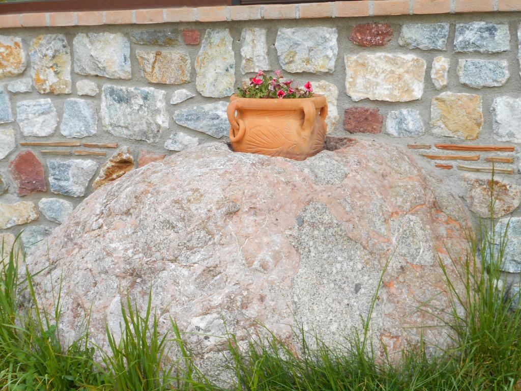 Agriturismo Biosila Acri ภายนอก รูปภาพ