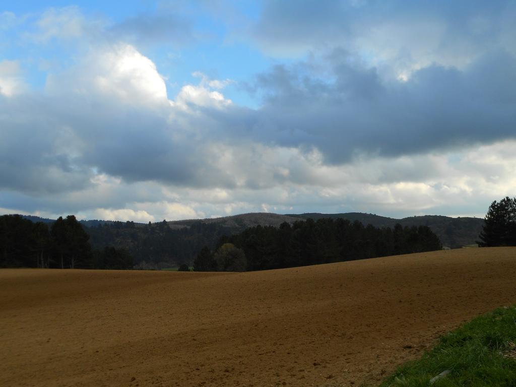 Agriturismo Biosila Acri ภายนอก รูปภาพ