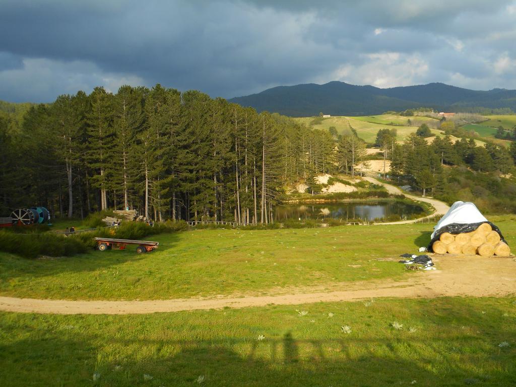 Agriturismo Biosila Acri ภายนอก รูปภาพ